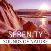 Serenity Nature Sounds Academy - Lotus Flower (Relax Music)