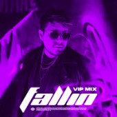 Sebastian Wibe feat. Jack Dawson - Fallin (VIP Mix)