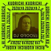 DJ Groove,  Бег Вреден - Zozulya