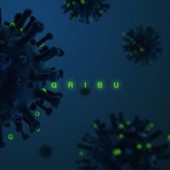 Gribu - Coronavirus (COVID-19)