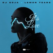Dj Goja - It s Love