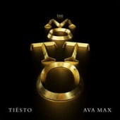 Tiesto feat. Ava Max - The Motto (Ownboss Remix)