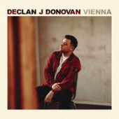 Declan J Donovan - Vienna