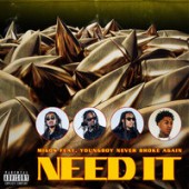 migos, youngboy never broke again - need it