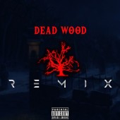 Vidar - Deadwood (Remix)
