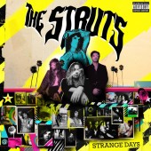 The Struts - Am I Talking To The Champagne