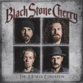 Black Stone Cherry - Don't Bring Me Down