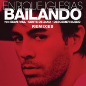 Enrique Iglesias - Bailando (feat. Sean Paul) (Remix)