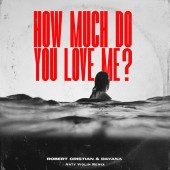 Robert Cristian, Dayana - How much do you love me