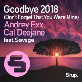 Andrey Exx - Goodbye (Don't Forget That You Were Mine)