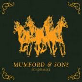 Mumford, Sons - Little Lion Man