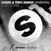 Bassjackers feat. Tony Junior - Forever Young