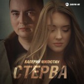 Валерий Милютин - Стерва
