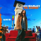Damian Marley, Stephen Marley, Capleton, Drag-On - It Was Written
