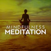 Relaxing Mindfulness Meditation Relaxation Maestro - Meditation Journey