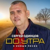 Сергей Одинцов - Журавли