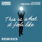 Armin Van Buuren feat. Trevor Guthrie - This Is What It Feels Like (Ayur Tsyrenov DFM Remix)
