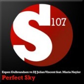 Espen Gulbrandsen feat. Maria Nayler - Perfect Sky (Hodel Remix)