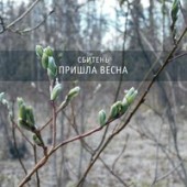 Рустам Нахушев - Весна пришла