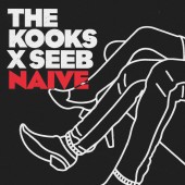The Kooks, Seeb - Naive