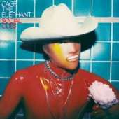 Cage The Elephant - Skin and Bones