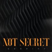 Goodiny - Not Secret (Mix)