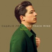 Charlie Puth and Selena Gomez - We Don't Talk Anymore