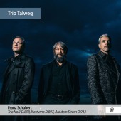 Trio Talweg,Франц Шуберт - Notturno in E-Flat Major, D. 897