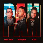 Daddy Yankee - PAM