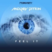 Andrey Pitkin - Feel It