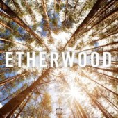 Etherwood, Laurelle Robichaud - Unfolding