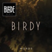 Birdy - Words