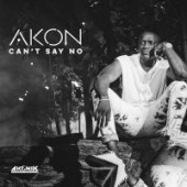 Akon - Can't Say No