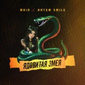 MriD,Artem Smile - Ядовитая змея