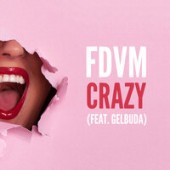 FDVM feat. Gelbuda - Crazy