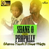 Shane O - Ghetto Youth Fi Have Things