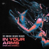 Topic & Robin Schulz feat. Nico Santos & Paul Van Dyk - In Your Arms (For An Angel) (Robin Schulz VIP Mix)