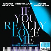 David Guetta, MistaJam, John Newman - If You Really Love Me (How Will I Know) (MistaJam Remix Extended)