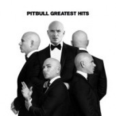 Pitbull feat. TJR - Don't Stop the Party