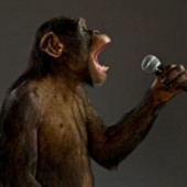 Звуки животных  - Шимпанзе