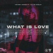 Heyder & Navaro feat. Taylor Mosley - What Is Love