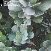 Pablo Nouvelle - Saltburn (Audio Dope Remix)