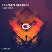 Furkan Gulden - Forget