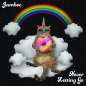 Jamboo - Never Letting Go (Radio Mix)