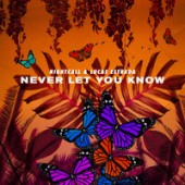 Nightcall, Lucas Estrada - Never Let You Know