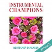 Instrumental Champions - Ein Stern