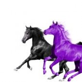 Lil Nas X, RM - Old Town Road (feat. RM of BTS) (Seoul Town Road Remix)