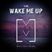 Hits Remixed - Wake Me Up