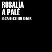 Gesaffelstein - A Palé (Gesaffelstein Remix)