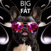 Alex Gelo - Big & Fat